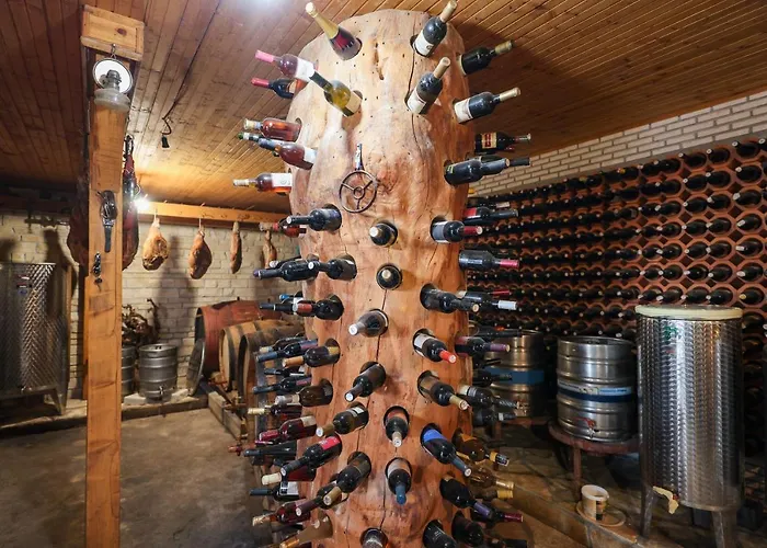 Vila Villa Vita Benkovac