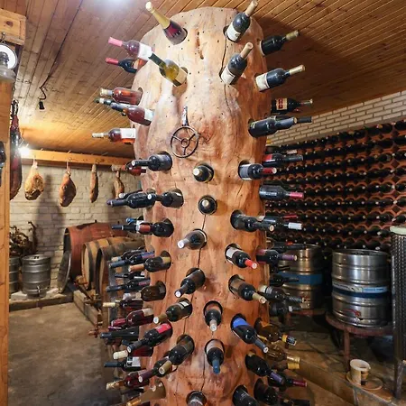 Villa Villa Vita Benkovac